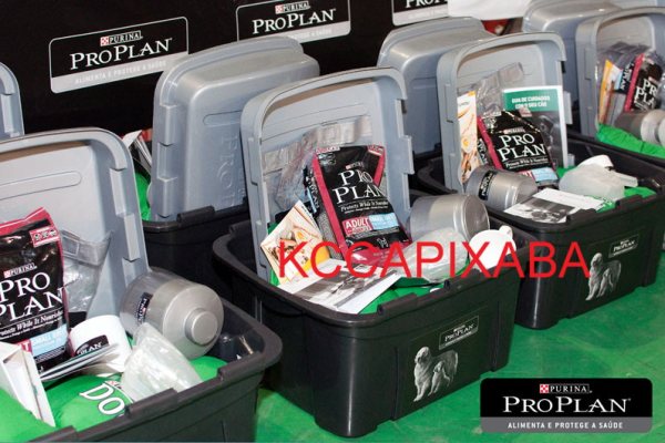 Clique sobre a foto para fechar